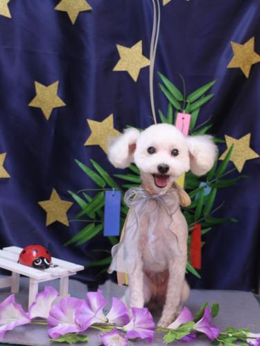 20230712にこちゃん